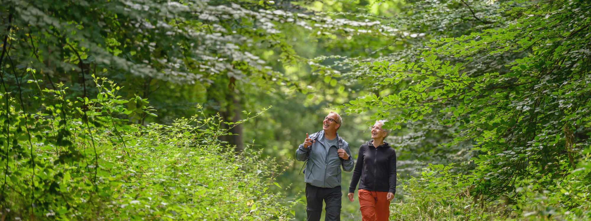 Ein Paar wandert durch einen Wald und ist umgeben von vielen grünen Bäumen.